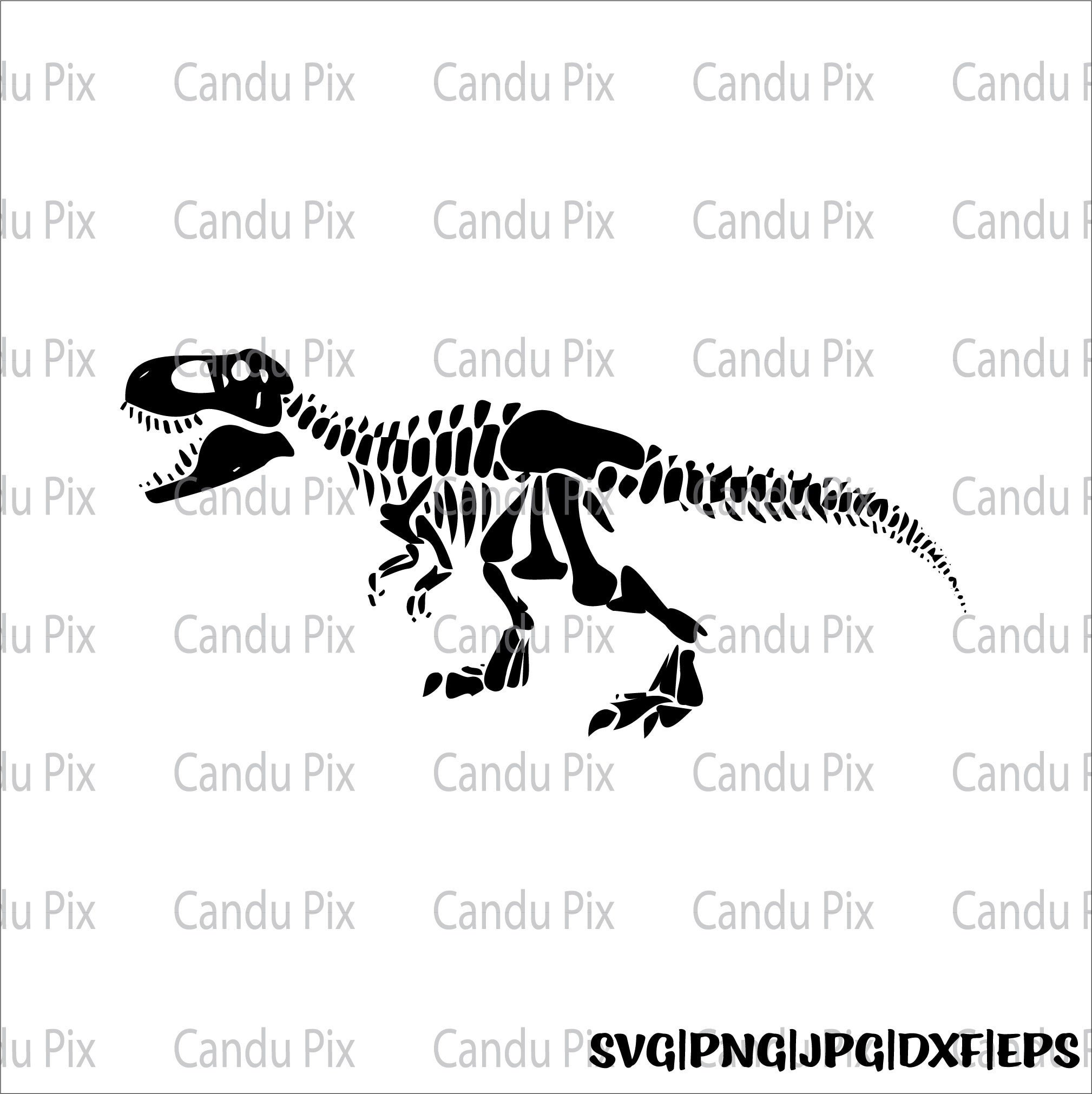 T Rex Skeletion Svg, Dinosaur Svg, T Rex Png, Dinosaur Png, Cricut, T