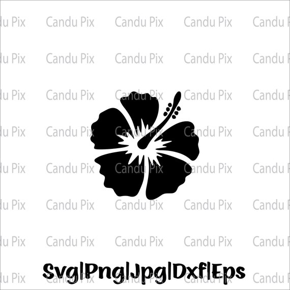 Hibiscus Svg Plant Hibiscus Svg Hawaii Hibiscus Svg Png Eps | Etsy