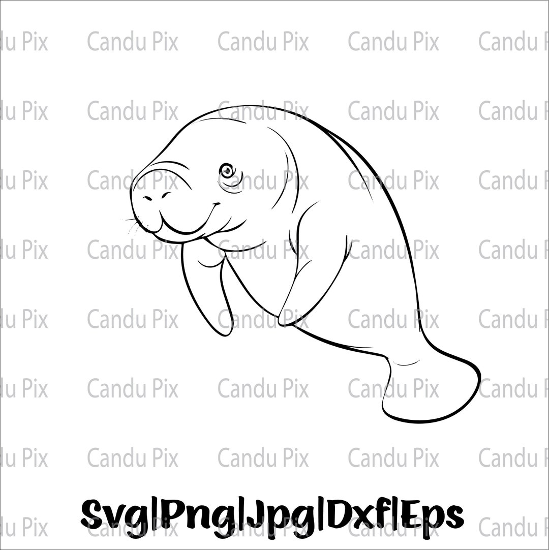 Manatee Svg, Smiling Manatee Svg, Cute Manatee Svg, Png Eps Jpg Dxf