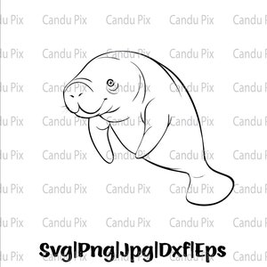 Puede incluir: Un dibujo en blanco y negro de un manatí, un mamífero acuático grande con un cuerpo redondeado y aletas. El manatí está sonriendo y tiene una expresión amigable.