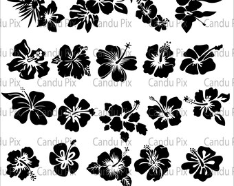 HIBISKUS SVG, HIBISKUS SVG schneide Dateien für Cricut, Hibiskus Clipart, Hibiskus Silhouette SVG 19 Designs