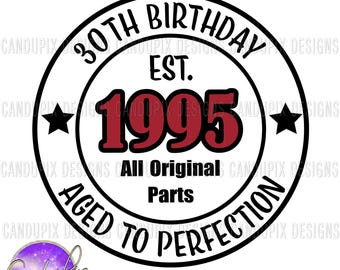 30th Birthday Est 1995, Established In 1995, Birthday Shirt, Its My Birthday, All Original Parts Svg Png