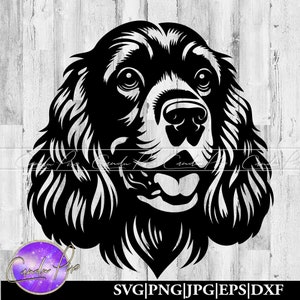 Englischer Cocker Png, Spaniel Hund Schmuck, Englischer Cocker Png, Spaniel Hund Png, Hundemonster, Haustier Porträt Schmuck, Hunde Schmuck Png, Hunde Tumbler