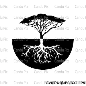 Acacia Tree Svg, Acacia Tree Svg, Acacia Tree Png, Acacia Tree Png,  Cricut, Acacia Tree Cut File, Commercial License