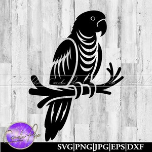 Puede incluir: Silueta negra de un loro posado en una rama. El loro está mirando hacia la derecha y tiene un diseño detallado.