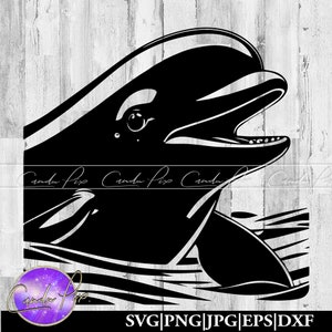 Beluga Whale Svg, Beluga Whale Png, Beach Svg, Beach Png, Sea Salt Png, Sea Salt Svg, Nautical Png, Nautical Svg, Tropical Png, Tropical Svg