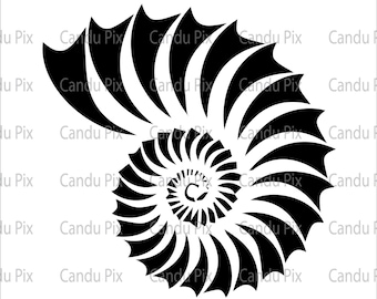 May include: A black and white nautilus shell design. The shell is spiraled and has a detailed pattern.
