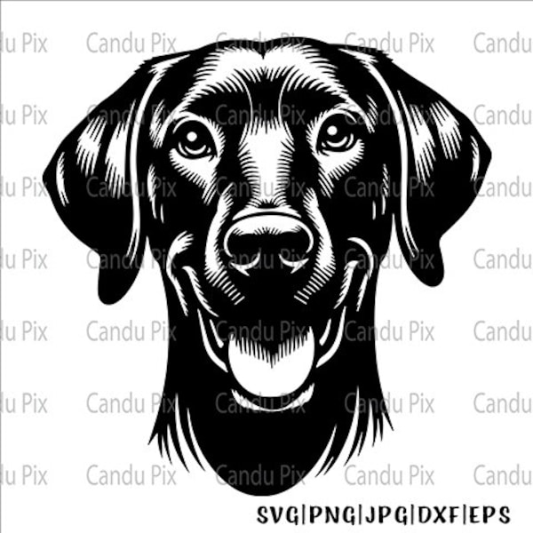 Plott Hound Svg, Plott Hound Png, Plott Hound Dxf, Pet Portrait Svg, Dog Svg Png, Silhouette, Dog Memorial, 1 Layer Cut File, Dog Tumbler