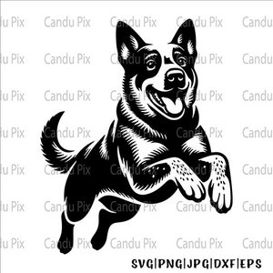 Australian Svg, Cattle Dog Svg, Australian Png, Cattle Dog Png, Australian Dxf, Cattle Dog Dxf, Dog Svg Png, 1 Layer Cut File, Dog Tumbler