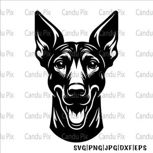 Pharaoh Hound Svg, Pharaoh Hound Png, Pharaoh Hound Dxf, Pet Portrait Svg, Dog Svg Png, Silhouette, Dog Memorial, 1 Layer Cut File