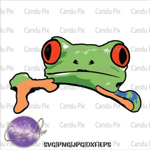 Puede incluir: Una rana verde de árbol con ojos rojos y marcas naranjas y azules en sus extremidades. La rana está en una pose de salto con sus patas delanteras extendidas y sus patas traseras metidas debajo de su cuerpo.