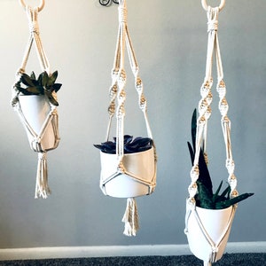 Peut inclure: Trois suspensions macramé avec des pots en céramique blancs, chacune contenant une succulente différente. Les suspensions sont suspendues à une barre métallique, mettant en valeur un style bohème. Les plantes ont des feuilles vertes et violettes.
