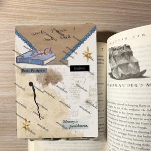 copertine Kindle dei Malandrini - Peter