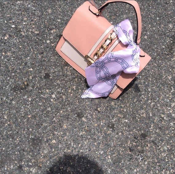 Aldo purse