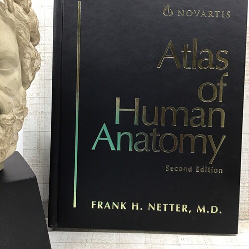 Atlas of Human Anatomy second edition Frank H Netter MD