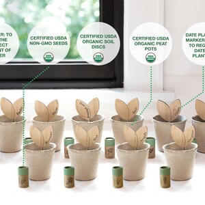 FLEUR DU BIEN Indoor Herb Garden Kit Planter, 10 Herb Seed Packs, Window Gardening Set Plant Marker, Biodegradable Growing Pots, Soil Disc image 7