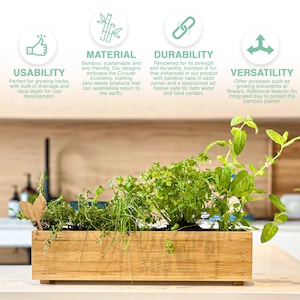 May include: A rectangular bamboo planter box filled with various green herbs. The planter has a natural wood finish and is labeled "FLEUR DU BIEN". The image highlights the planter's usability, material, durability, and versatility.