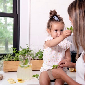 May include: A young child and an adult are preparing a refreshing drink in a kitchen. A clear glass pitcher filled with lemonade and mint sits on the counter. Fresh lemons and herbs are also visible, suggesting a homemade beverage.