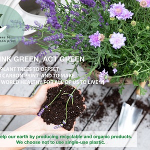 May include: Image promoting environmental sustainability. Text reads "Think Green, Act Green" and "We plant trees to offset our carbon print." Includes USDA Organic and Made in USA logos. Features hands holding soil with a plant, and a pot of purple flowers.