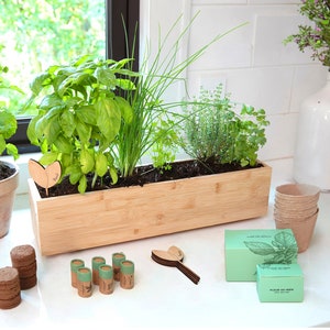 FLEUR DU BIEN Indoor Herb Garden Kit + Planter, 6 Herb Seed Packs, Window Gardening Set Plant Marker, Biodegradable Growing Pots, Soil Disc