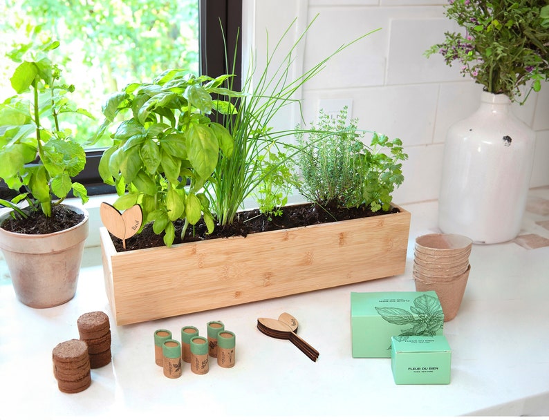 May include: A wooden planter box with a variety of green herbs growing in it. The planter is sitting on a white countertop. There are several small brown seed starter pots, a box of seeds, and wooden plant markers on the countertop. USA seeds. paper pots, markers, soild discs,