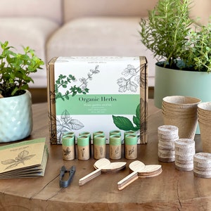 FLEUR DU BIEN Indoor Herb Garden Starter Kit, 6 Gardening Seed Pack with Plant Markers, Growing pots, Soil Discs