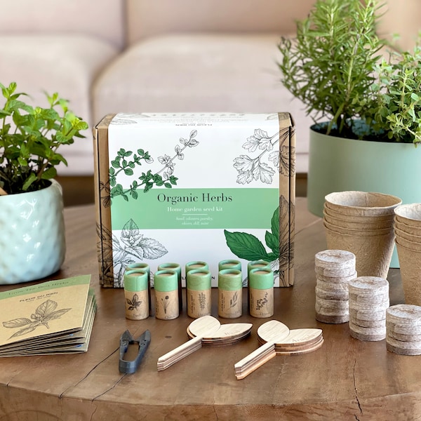 FLEUR DU BIEN Kit básico de jardín de hierbas para interiores, paquete de 10 semillas de jardinería con marcadores de plantas, macetas de cultivo y discos de tierra