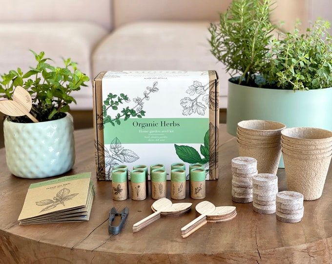 Zen Garden Grow Kit Spirtual House Plants Healing Plant Grow Etsy