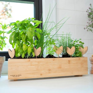FLEUR DU BIEN Indoor Herb Garden Kit Planter, 10 Herb Seed Packs, Window Gardening Set Plant Marker, Biodegradable Growing Pots, Soil Disc image 10