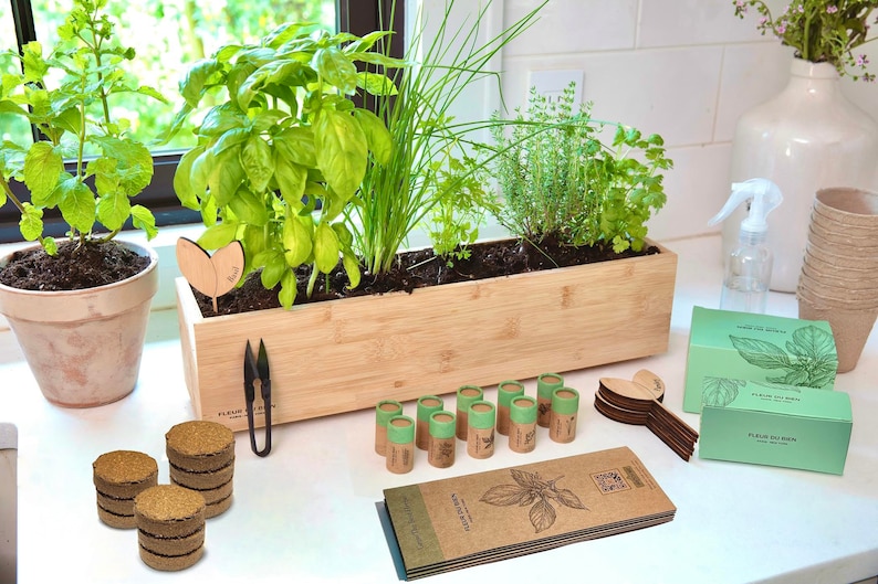 FLEUR DU BIEN Indoor Herb Garden Kit