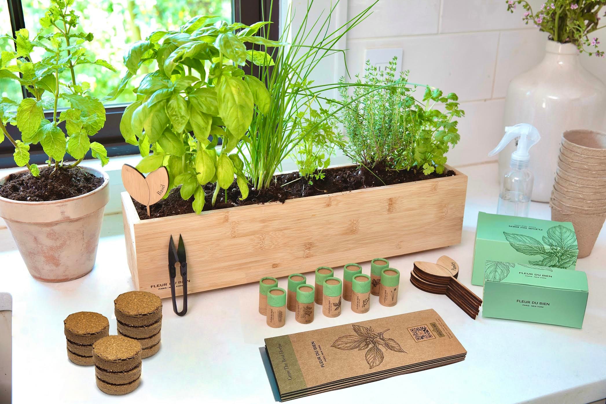 Kit de 6 plantes aromatiques avec manuel de culture