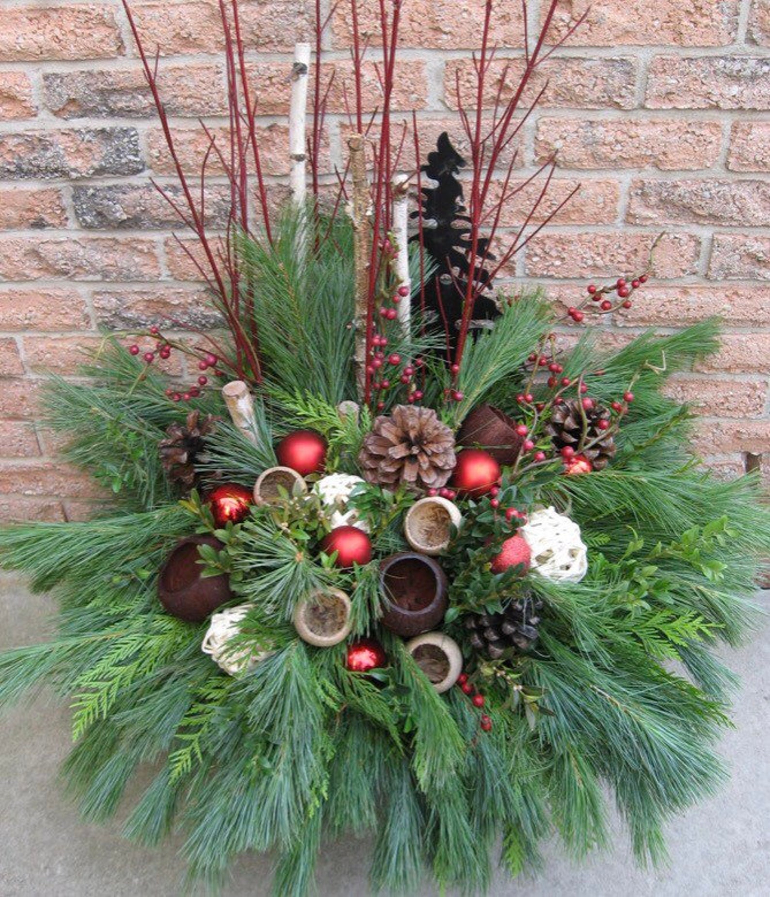 Red Twig Dogwood Branches Cut to Order Holiday Table Etsy