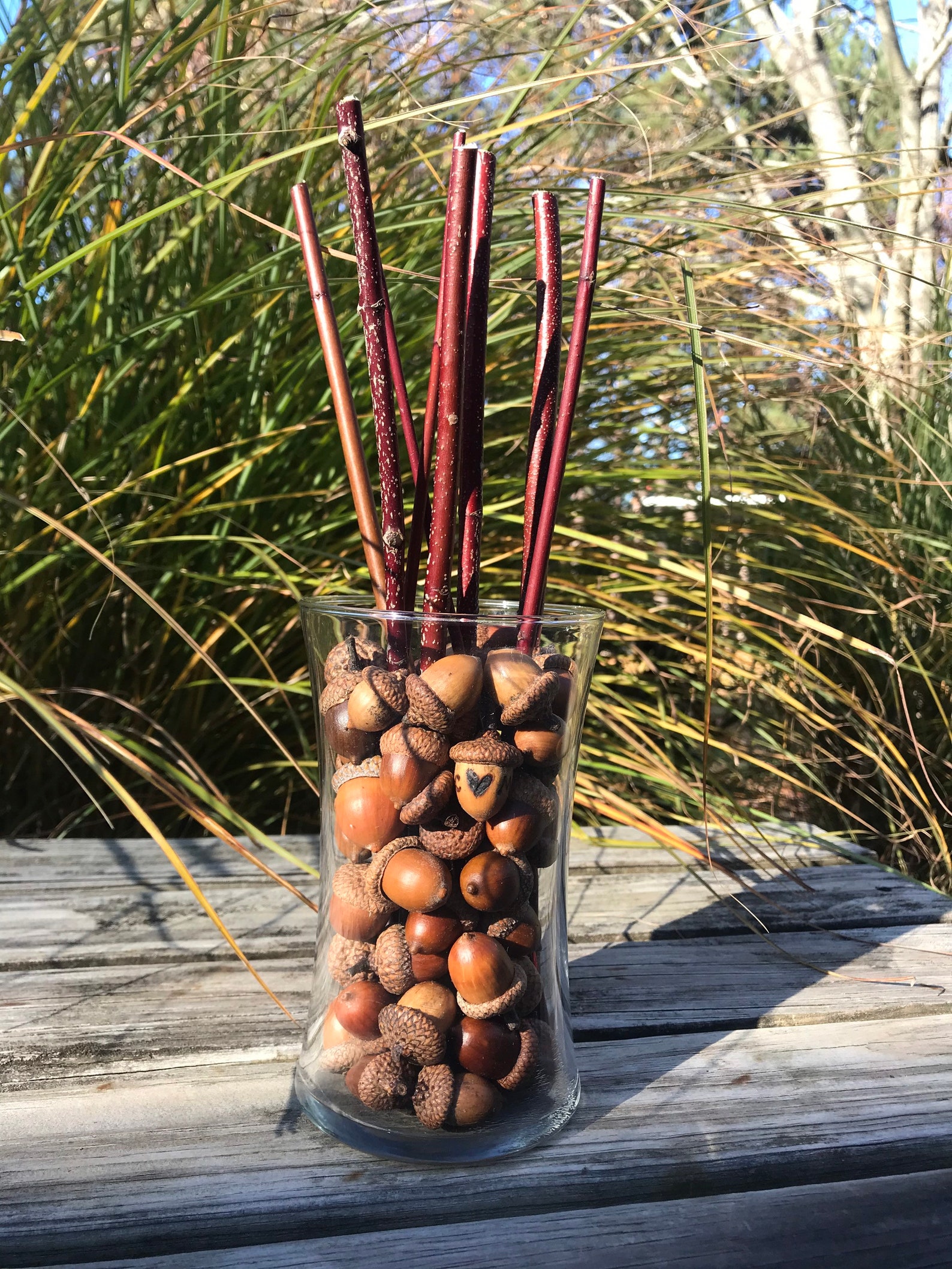 Red Twig Dogwood Branches Cut to Order Holiday Table Etsy
