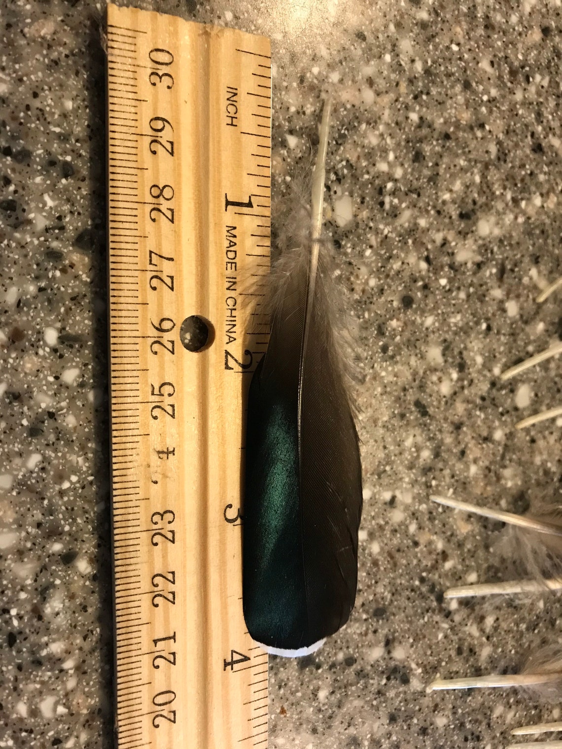 Wood Duck Secondary Feathers White Tipped Blue Feathers Duck Etsy