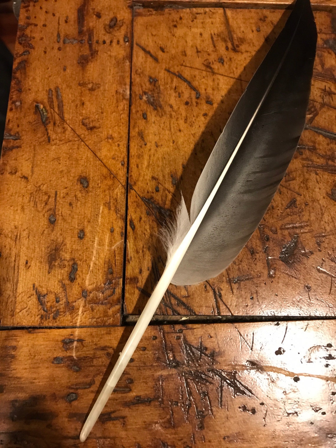 Goose feathers large black feathers Canadian goose feathers Etsy