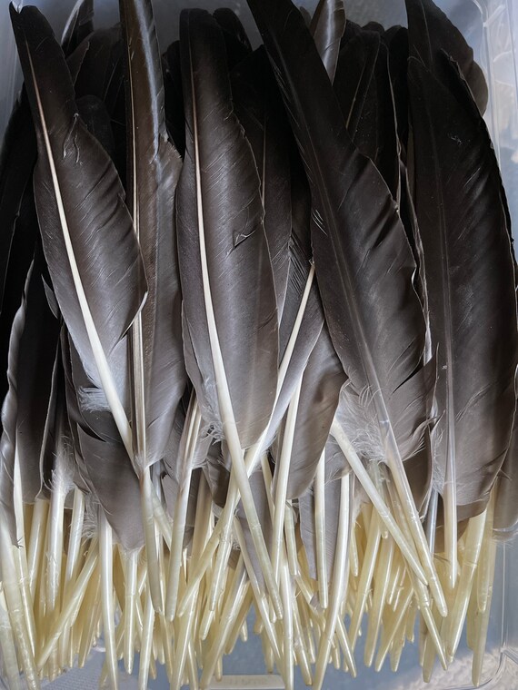 Black Feathers for Vase -  Norway