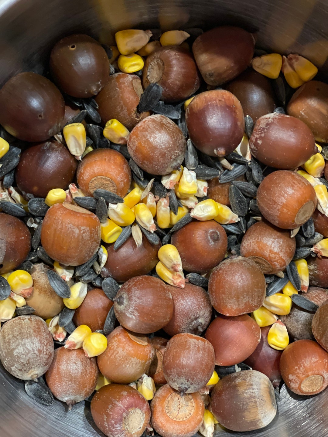 Squirrel Lovers Feed Mix, Bulk Acorns for Squirrels, Acorns, Local Corn