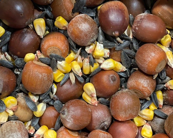 Squirrel Lovers Feed Mix, Bulk Acorns for Squirrels, Acorns, Local Corn