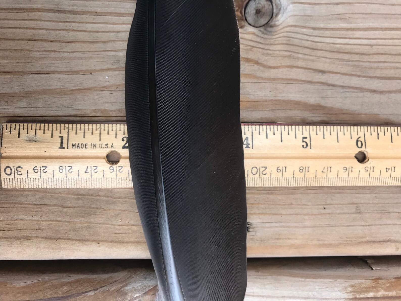 Goose feathers large black feathers Canadian goose feathers Etsy