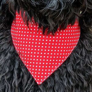RED w/ WHITE DOTS Dog Bandana