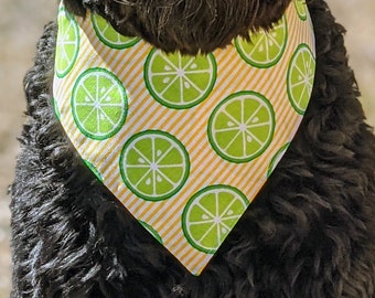 LIME SLICES Dog Bandana