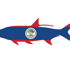 Può includere: Una silhouette di pesce tarpon rosso, blu e bianco con la bandiera del Belize sul suo corpo.