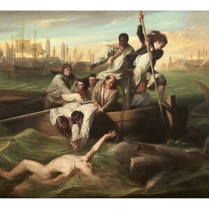 Watson and the Shark | John Singleton Copley | 1778 Shark Attack Art