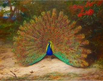 Peacock and Butterfly | Archibald Thorburn | 1917 Animal Poster Print