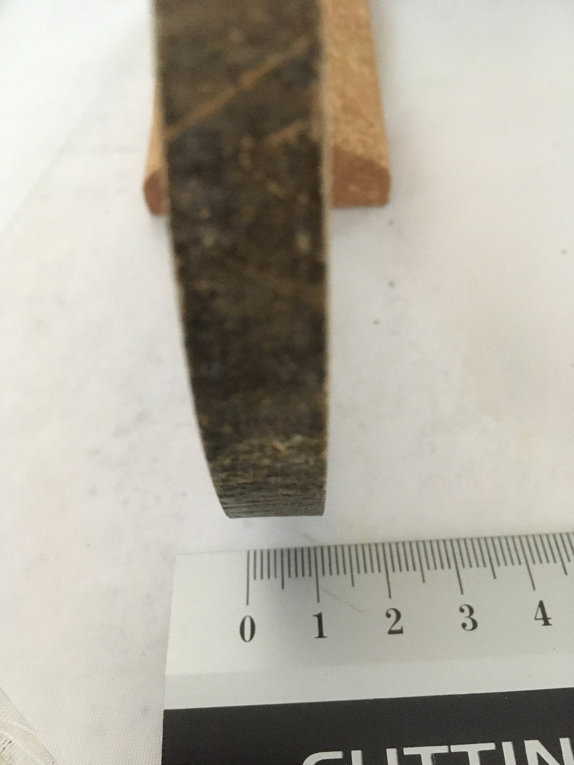 Pyrography Art on a Slice of Ash Wood With tree of Etsy