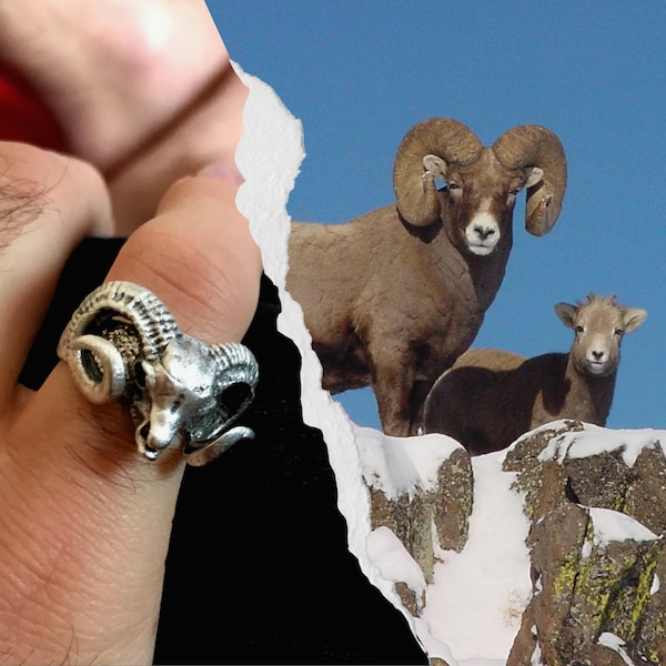 Ram Head Silver Adjustable Ring Bighorn Sheep Ring for Men or Women Aries Bighorn Dodge Ram Ring