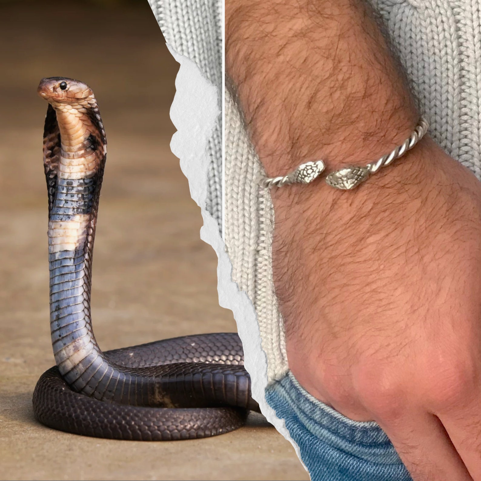 Sterling Silver Snake Cuff Bracelet for Men or Women Snake Etsy