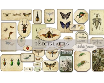 INSECTS LABELS, Ephemera, Embellishments, Junk Journal, Digital Stickers, Collage Elements, Fussy Cut, Collage Sheet, Paper printable