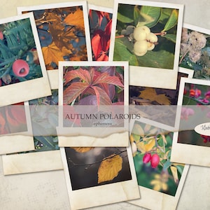 Polaroids d'automne rétro, autocollants, embellissements, cartes de journalisation, téléchargement numérique, autocollants de journal indésirable, album éphémère, bricolage