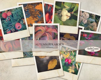 Retro Autumn Polaroids, Sticker, Embellishments, Journaling Cards, Digital Download, Junk Journal Sticker, Scrapbook Ephemera, DIY